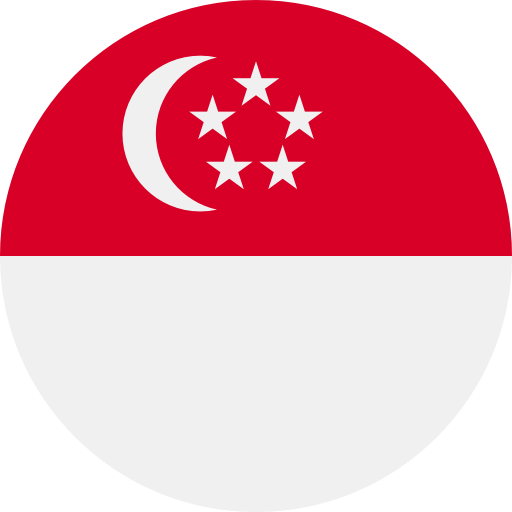 singapore icon