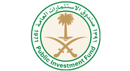 public investment fund icon